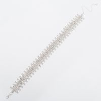 Einfacher Stil Einfarbig Metall Überzug Inlay Künstlicher Kristall Strasssteine Frau Halsband sku image 2