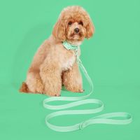 New Style Waterproof And Washable Dog Collar Leash main image 3