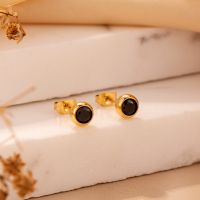 1 Pair Casual Cute Simple Style Solid Color Plating Inlay Stainless Steel Titanium Steel Zircon Gold Plated Ear Studs main image 2