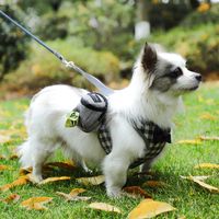 Causal Dog Walking Pack De Cueillette De Merde Fournitures Pour Animaux De Compagnie Sac De Chien main image 5