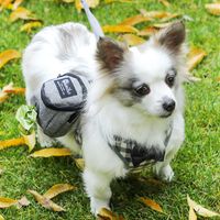 Causal Dog Walking Poop Picking Pack Pet Supplies Dog Bag sku image 3