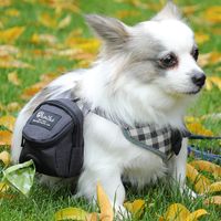 Kausale Hunde-walking-kacke-picking-pack-haustier-zubehör Hunde Tasche main image 3