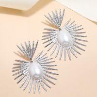 1 Pair Elegant Lady Geometric Inlay Alloy Artificial Pearls Drop Earrings main image 4