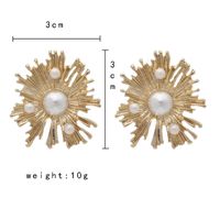 1 Pair Elegant Lady Geometric Plating Inlay Alloy Artificial Pearls Ear Studs main image 5