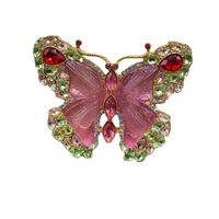 Retro French Style Butterfly Alloy Inlay Rhinestones Women's Brooches main image 3