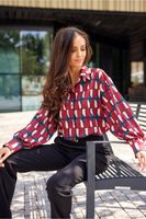 Women's Blouse Long Sleeve Blouses Printing Button Simple Style Printing Color Block sku image 1
