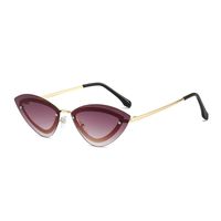 Elegant Basic Color Block Pc Cat Eye Full Frame Women's Sunglasses main image 4