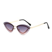 Elegant Basic Color Block Pc Cat Eye Full Frame Women's Sunglasses main image 3