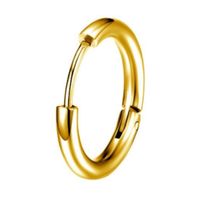 1 Piece Simple Style Circle Plating 304 Stainless Steel Gold Plated Silver Plated Earrings main image 5