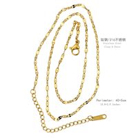 Stainless Steel Gold Plated Hip-Hop Simple Style Plating Solid Color Necklace sku image 2