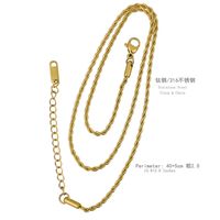 Stainless Steel Gold Plated Hip-Hop Simple Style Plating Solid Color Necklace sku image 6