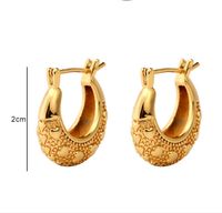 1 Paire Style Simple Style Classique Forme C Placage Acier Au Titane Des Boucles D'oreilles main image 1