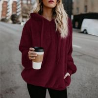 Women's Hoodie Long Sleeve T-shirts Pocket Zipper Simple Style Solid Color main image 5