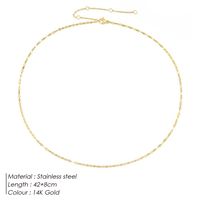 Jewelry Single Layer Chain Necklace Female Creative Stainless Steel Accessories Necklace 316l Clavicle Chain sku image 17