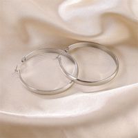 1 Pair Baroque Style Simple Style Round Polishing Plating Stainless Steel 18k Gold Plated Hoop Earrings main image 4