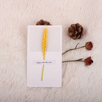Fashion Gypsophila Dried Flower Greeting Card Mother's Day Greeting Card sku image 22