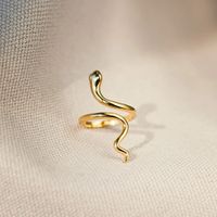 Casual Streetwear Snake Sterling Silver Plating Open Rings main image 6