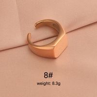 Stainless Steel 18K Gold Plated IG Style Plating Irregular Round Square None Rings sku image 10