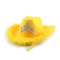 Women's Lady Solid Color Curved Eaves Cowboy Hat sku image 4