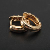 1 Pair Elegant Vintage Style Luxurious Leopard Plating Inlay Copper Zircon 18K Gold Plated Earrings main image 5