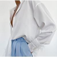 Women's Blouse Long Sleeve Blouses Feather Casual Solid Color main image 4