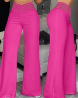 Women's Daily Street Casual Solid Color Full Length Wide Leg Pants main image 2