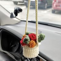 Hand-crocheted Chlorophytum Potted Yarn Car Rearview Mirror Creative Ornament sku image 49