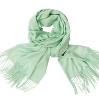 Women's Simple Style Tassel Solid Color Imitation Cashmere Scarf sku image 21