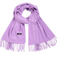 Women's Simple Style Tassel Solid Color Imitation Cashmere Scarf sku image 29