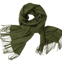 Women's Simple Style Tassel Solid Color Imitation Cashmere Scarf sku image 20