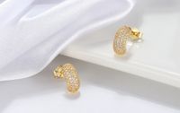 1 Pair Elegant Solid Color Plating Inlay Sterling Silver Zircon 14k Gold Plated Ear Studs main image 1