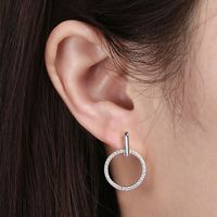 1 Pair Simple Style Circle Round Plating Inlay Sterling Silver Zircon 14k Gold Plated Rose Gold Plated White Gold Plated Drop Earrings main image 5