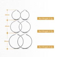 1 Pair Modern Style Classic Style Circle Plating Sterling Silver White Gold Plated Rhodium Plated Silver Plated Hoop Earrings main image 2
