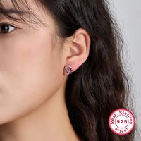 1 Pair Elegant Simple Style Clouds Rainbow Plating Inlay Sterling Silver Zircon Rhodium Plated Ear Studs main image 5