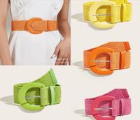 Original Design Solid Color Pp Grass Pu Leather Women's Woven Belts main image 1