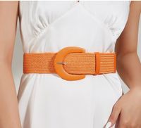 Original Design Solid Color Pp Grass Pu Leather Women's Woven Belts sku image 3