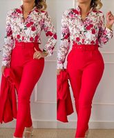 Women's Classic Style Flower Linen Polyester Printing Pants Sets sku image 3