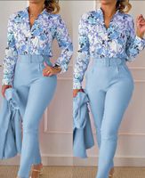 Women's Classic Style Flower Linen Polyester Printing Pants Sets sku image 9
