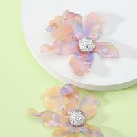 1 Pair Simple Style Flower Spray Paint Zinc Alloy Dangling Earrings main image 3