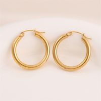 1 Pair Retro Simple Style Round Plating Stainless Steel 18K Gold Plated Hoop Earrings sku image 1