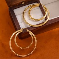 1 Pair Retro Simple Style Round Plating Stainless Steel 18K Gold Plated Hoop Earrings main image 5