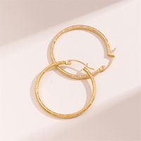 1 Pair Retro Simple Style C Shape Round Plating Stainless Steel 18K Gold Plated Hoop Earrings main image 2