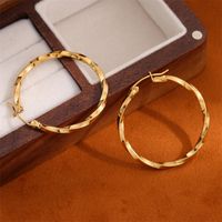 1 Pair Retro Simple Style Round Plating Stainless Steel 18K Gold Plated Hoop Earrings main image 7