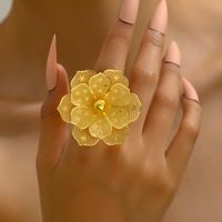 Elegante Glamour Exagerado Forma De Corazón Flor Hierro Enchapado Ahuecar Mujeres Anillos main image 9