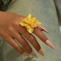Elegant Glam Exaggerated Heart Shape Flower Iron Plating Hollow Out Women's Rings main image 5