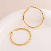 1 Pair Retro Simple Style C Shape Round Plating Stainless Steel 18K Gold Plated Hoop Earrings main image 7