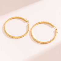1 Pair Retro Simple Style C Shape Round Plating Stainless Steel 18K Gold Plated Hoop Earrings main image 4