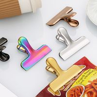 Simple Style Solid Color Stainless Steel Anti-drop Clip main image 3