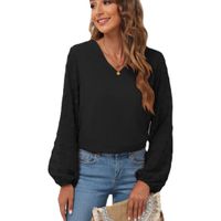 Women's Chiffon Shirt Long Sleeve Blouses Simple Style Solid Color main image 3