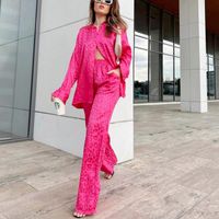 Women's Casual Leopard Polyester Printing Pants 2 Pieces Sets main image video